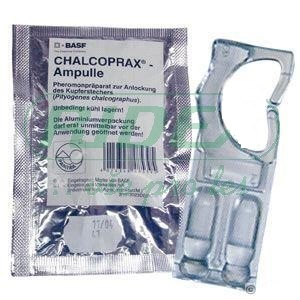 Chalkoprax